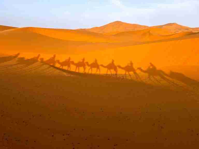 Sombra en el desierto de caravana de Camellos