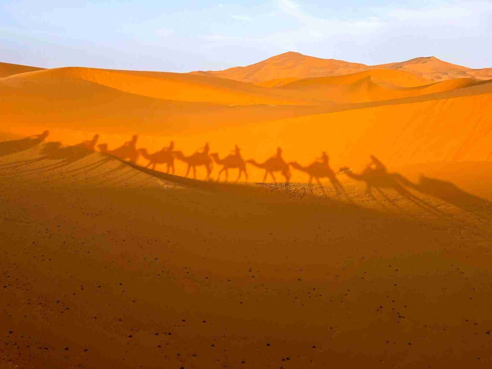 Sombra en el desierto de caravana de Camellos