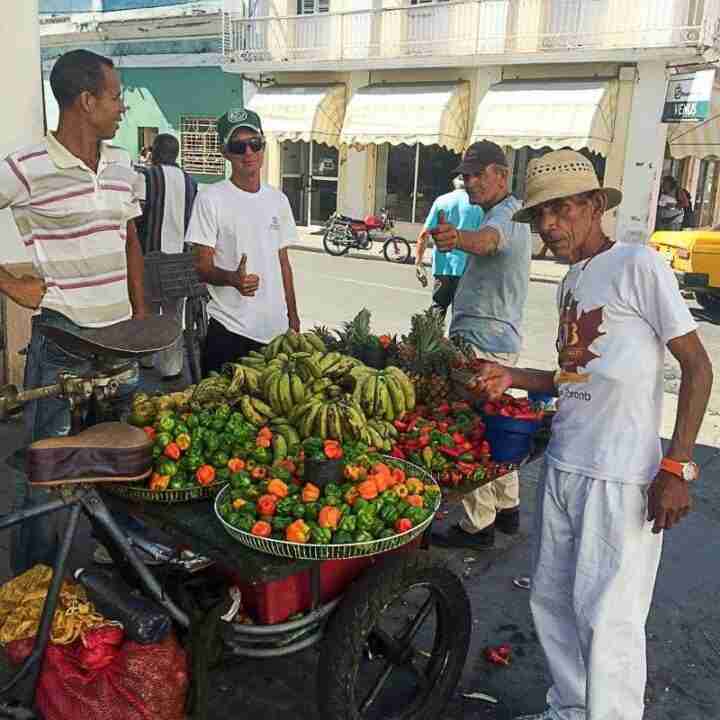 Mecadillo den Cienfuegos