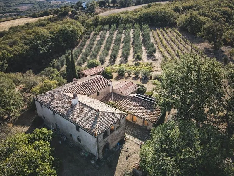 Casa rural de piedra estilo agroturismo rodeada de viñedos para dormir en la Toscana.