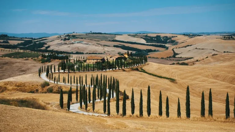 Coche circulando por las curvas rodeadas de cipreses en una ruta por la Toscana en coche.