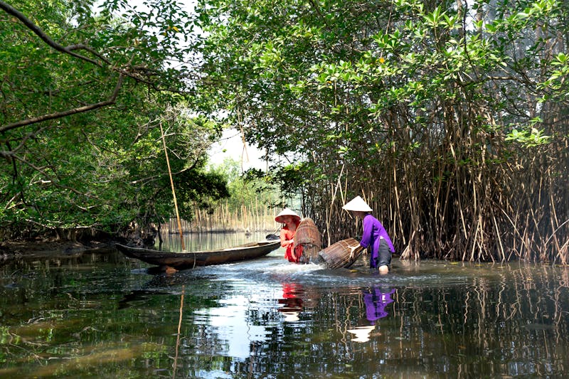 delta mekong vietnam canales sampán barca excursión