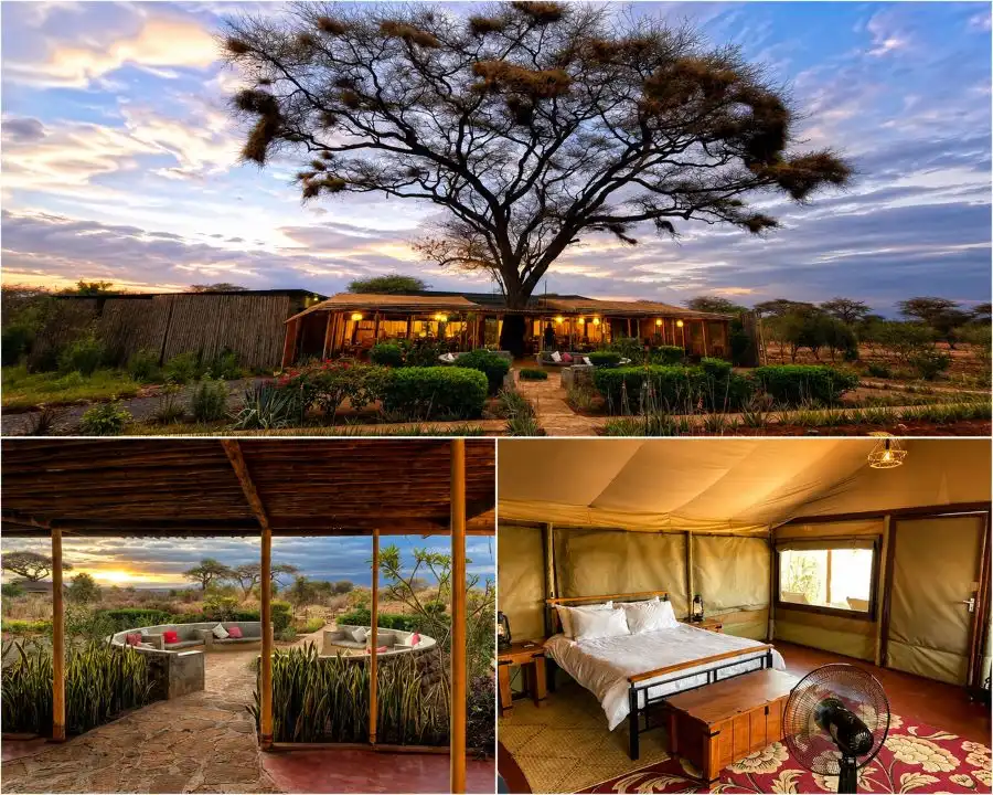 Tented camp en el Masai Mara: alojamiento de safari con vistas a la sabana de Kenia