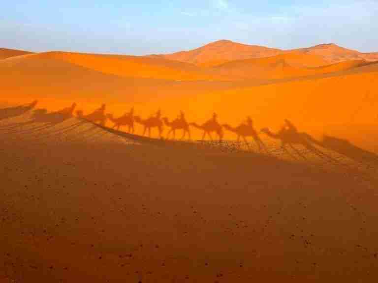 Sombras de Camellos en el Desierto de Merzouga