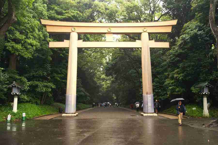 Santuario Meiji en Harajuku rodeado de árboles centenarios