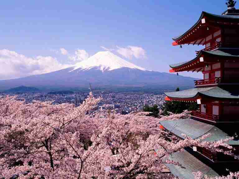 Vista del monte Fuji con cerezos en flor, uno de los lugares más emblemáticos que ver al viajar a Japón