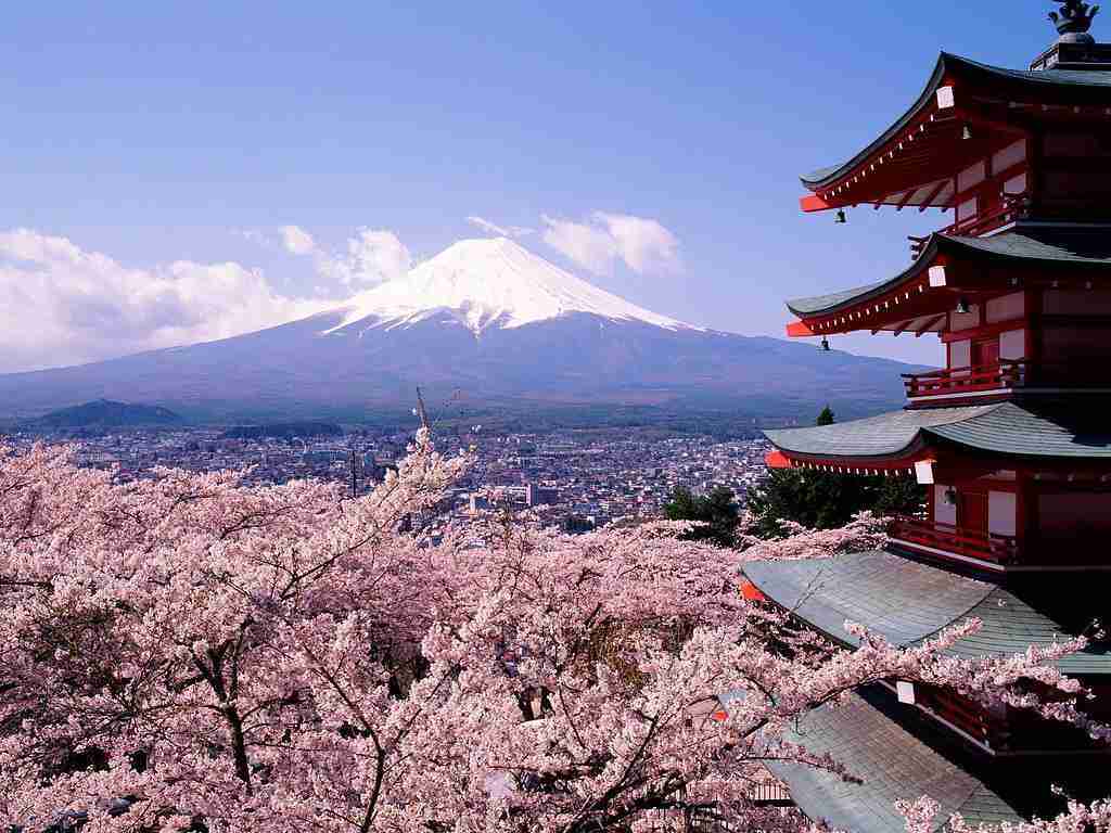 Vista del monte Fuji con cerezos en flor, uno de los lugares más emblemáticos que ver al viajar a Japón