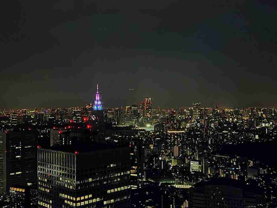 Vistas desde el Gobierno Metropolitano, uno de los mejores planes gratis en el barrio de Shinjuku.