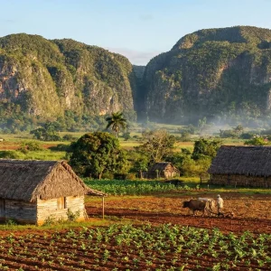Una de las mejores cosas que ver en Viñales es su valle con sus mogotes