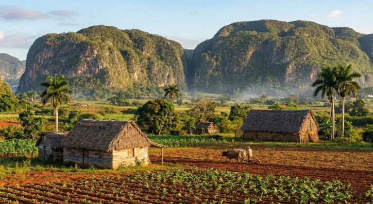 Una de las mejores cosas que ver en Viñales es su valle con sus mogotes