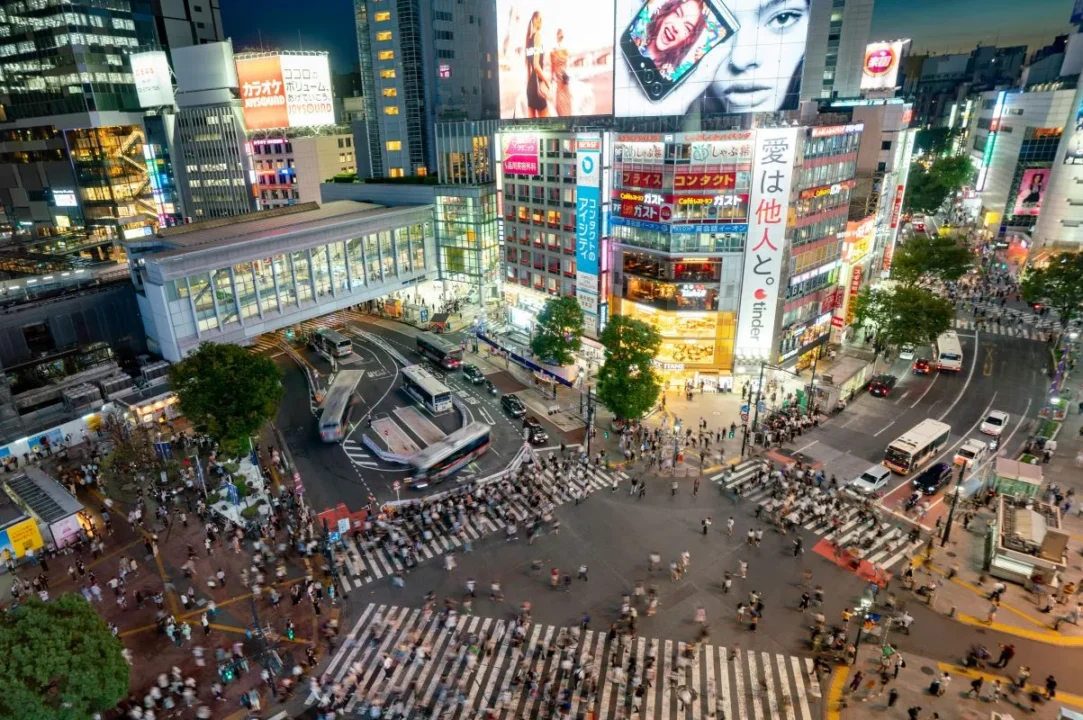 Cruce de Shibuya por la noche desde mirador